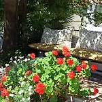 Işıl 4*