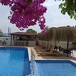 Işıl Dalyan