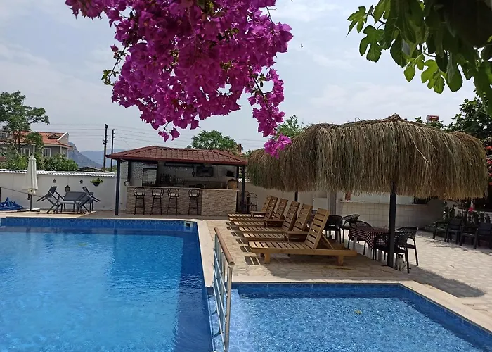 Isil Dalyan