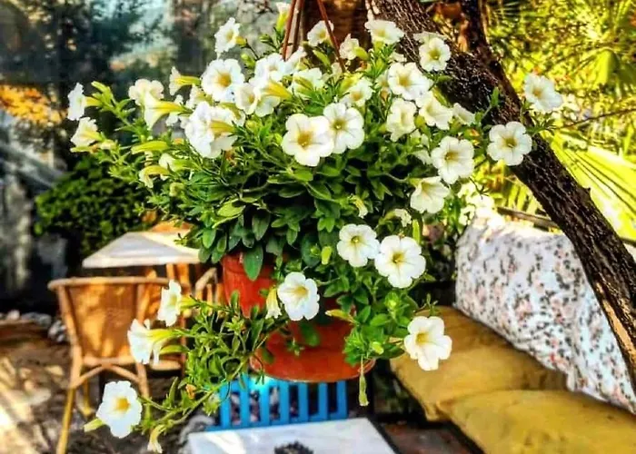 Apartmanhotel Isil Dalyan