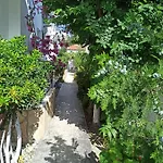 Isil Dalyan