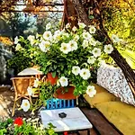 Aparthotel Isil Dalyan