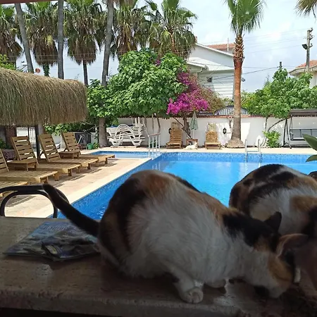 Işıl Hotel de apartamente