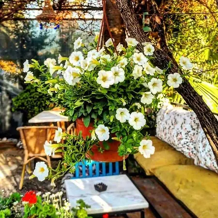 Hotel apartamentowy Isil Dalyan