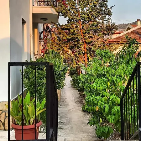 Isil Dalyan