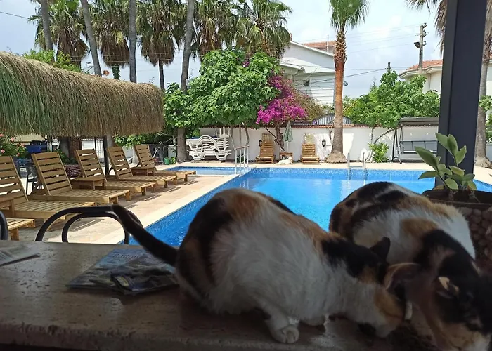 Isil アパートホテル